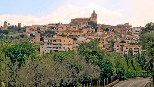 Finca Sa Figuera Blanca Otros