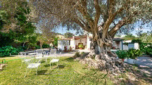 Finca Sa Llegua Jardin