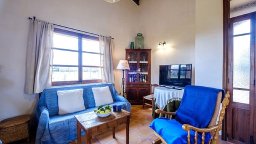 Finca Sa Vinya Living room