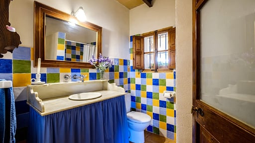 Finca Sa Vinya Bedroom 1