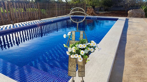Finca Son Rossignol Swimming pool