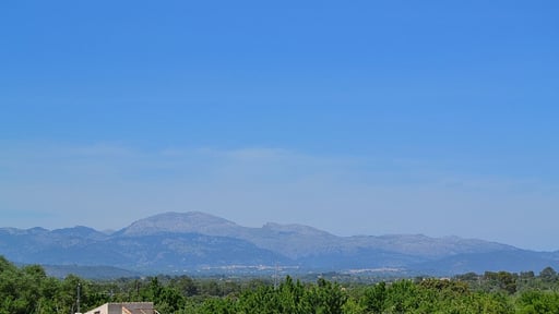 Finca Son Rossinyol Прочее