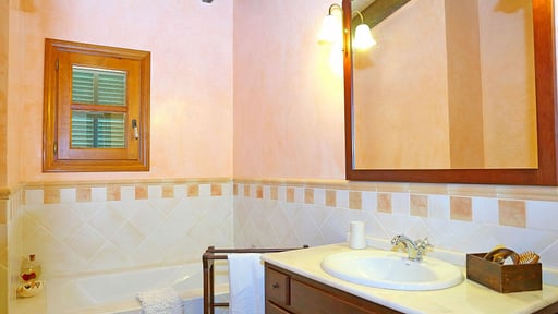 Finca Son Rossinyol Прочее