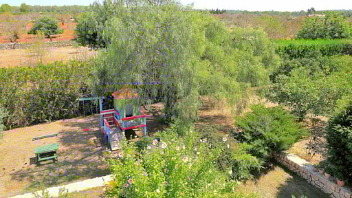 Finca Son Rossinyol Прочее 