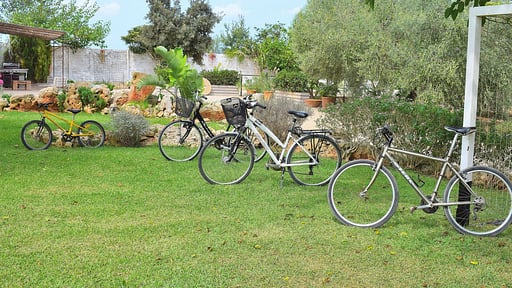 Finca Son Fonto Garden