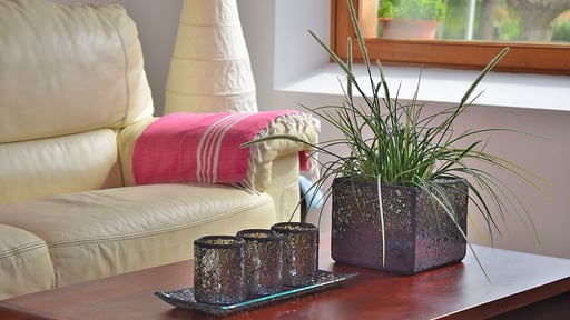 Finca Son Fonto Others