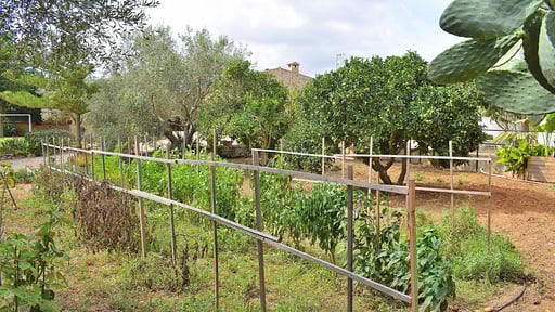 Finca Son Fonto Garden