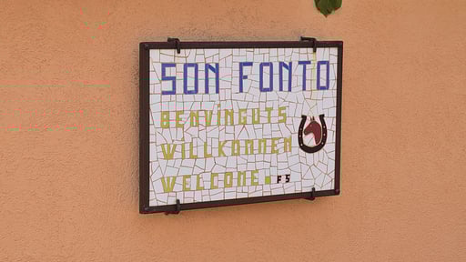 Finca Son Fonto Others