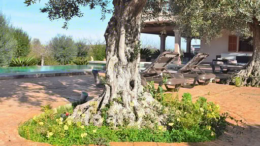 Finca Son Arcaines de Can Simó Бассейн