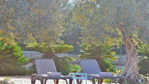 Finca Son Arcaines de Can Simó Бассейн