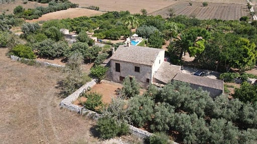 Finca Son Ramon Llull Others