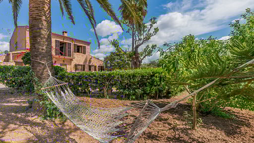 Finca Son Ramon Llull Others