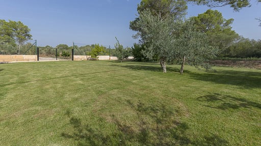 Finca Son Ullastre Jardín