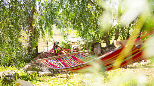 Finca Tres Halcones Прочее 