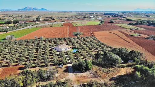 Finca Ullastres Photos aériennes