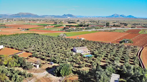 Finca Ullastres Photos aériennes