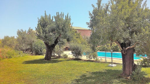 Finca Son Tresco Бассейн