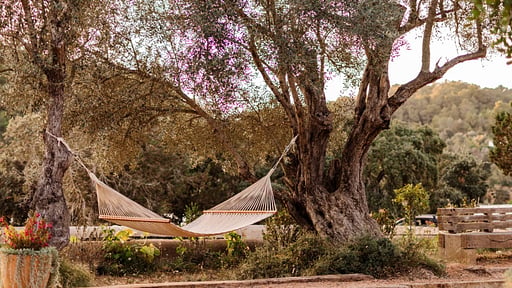 Finca Utopia Garden