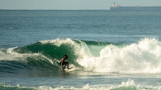 Flow Jungalow Прочее