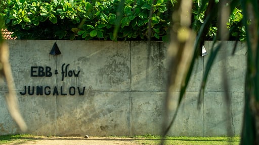 Flow Jungalow Прочее