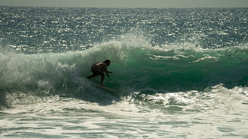 Flow Jungalow Прочее