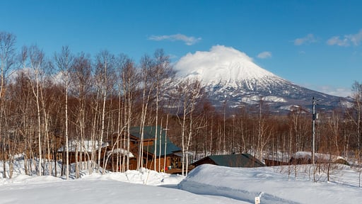 Foxwood House D Surroundings