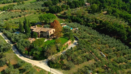 Frantoio Drone pictures