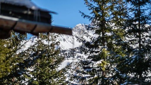 Chalet Gebroulaz Others