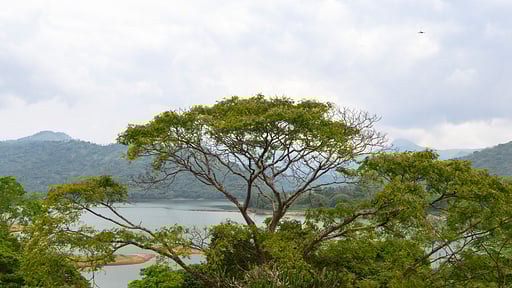 Glasshouse Kandy Surroundings