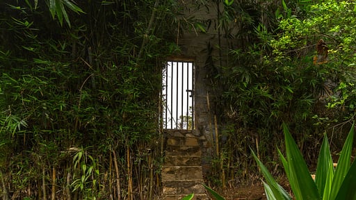 Glasshouse Kandy Surroundings