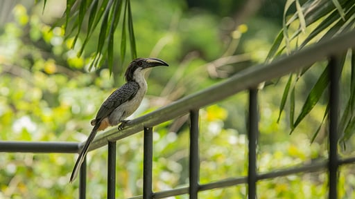 Glasshouse Kandy Surroundings