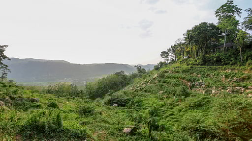 Glenross Plantation Bungalow Surroundings