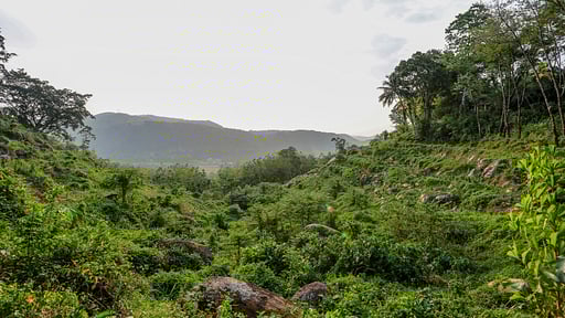 Glenross Plantation Bungalow Surroundings