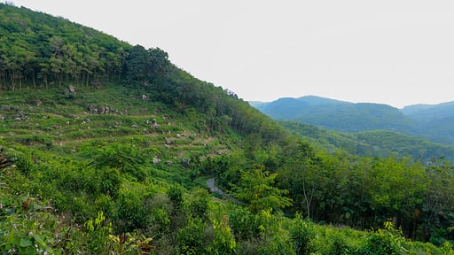 Glenross Plantation Bungalow Surroundings