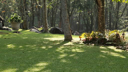 Glenross Plantation Bungalow Garden