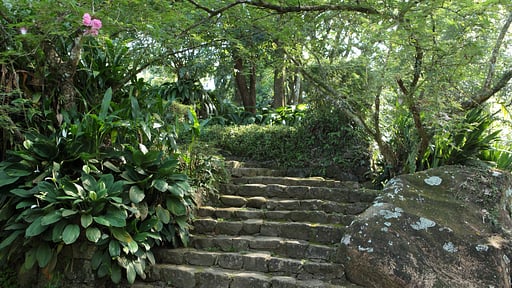 Glenross Plantation Bungalow Garden