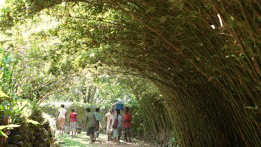 Glenross Plantation Bungalow Others