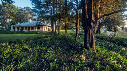 Goatfell Villa Jardin