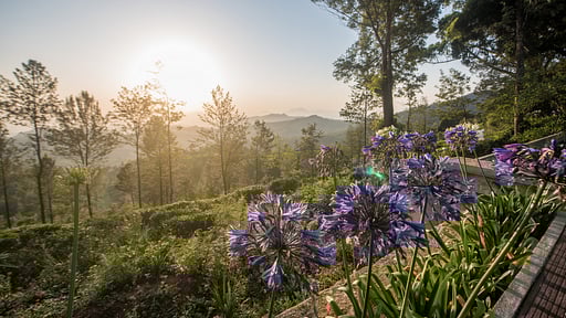 Goatfell Villa Autres