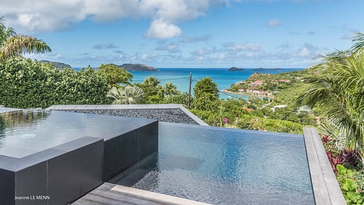 Villa Golden Palm Zwembad