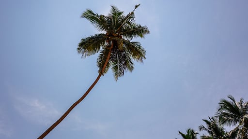 Green Parrot Beach Villa Beach