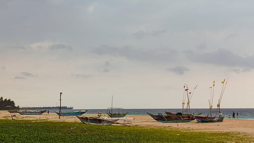 Green Parrot Beach Villa Beach