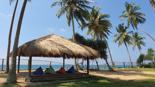 Green Turtle Villa Прочее