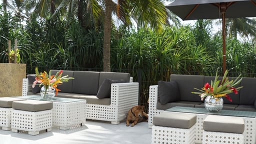 Green Turtle Villa Терраса/веранда