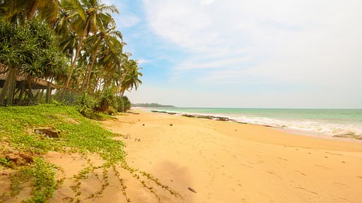 Green Turtle Villa Пляж