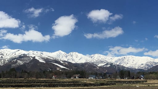 Grey Wolf Chalet Others