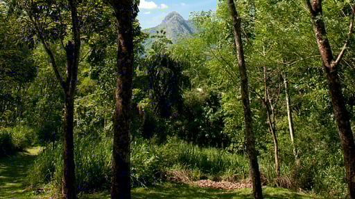 Guava House Surroundings