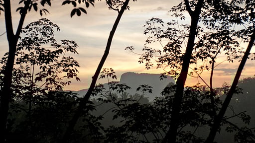 Guava House Surroundings