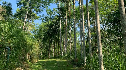 Guava House Surroundings