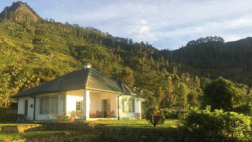 Haldummulla Estate